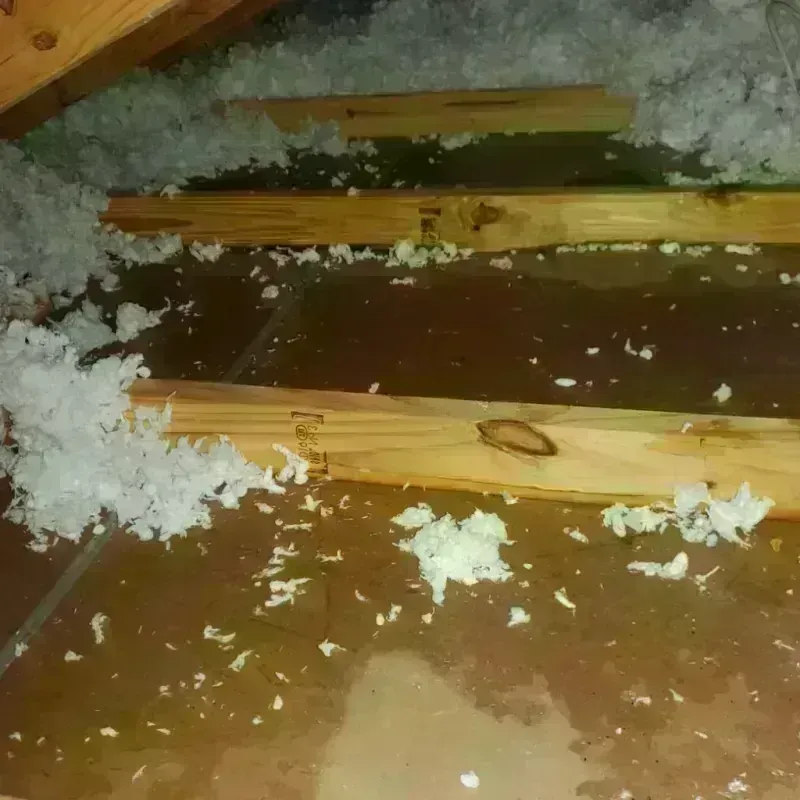 Attic Water Damage in Harristown, IL